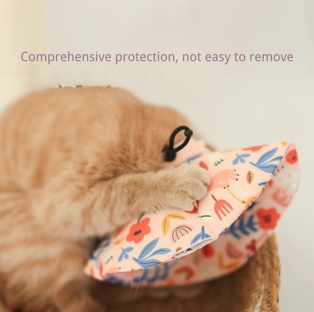 Soft Multi-Use E-Collar for Cats &amp; Small Dogs