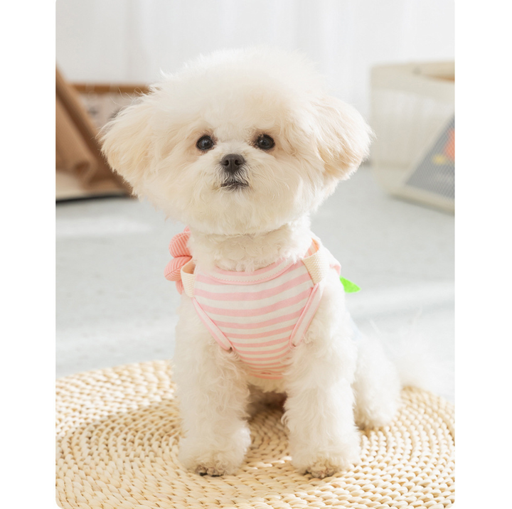 Denim Patchwork Pet Dress with D-Ring for Cats &amp; Small Dogs