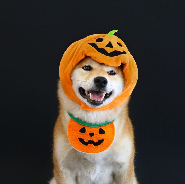 Halloween Pumpkin Hat &amp; Ghost Bib Set for Cats and Dogs