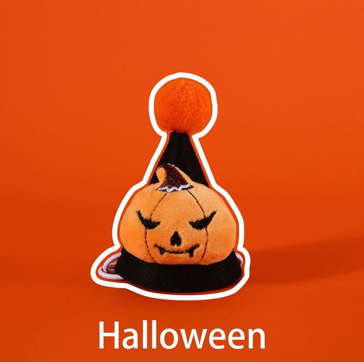 Halloween Pumpkin &amp; Spider Hat for Cats and Dogs
