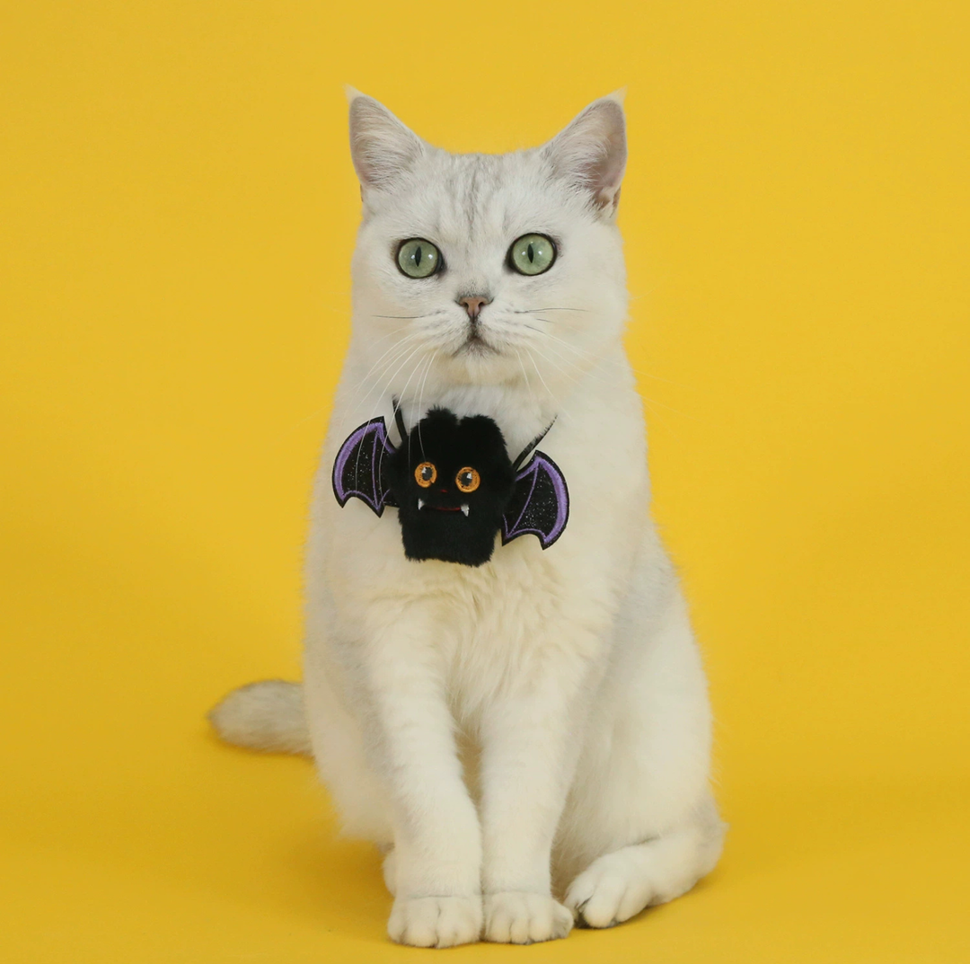 Halloween Pet Bib Collar – Pumpkin, Ghost, Spider &amp; Bat Plush Designs for Cats and Dogs