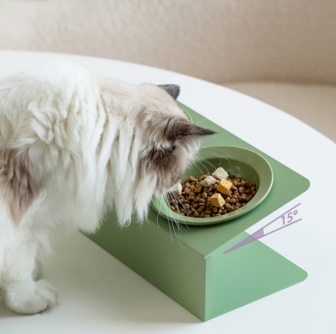 Ceramic Double Pet Bowl with Tilted Iron Stand