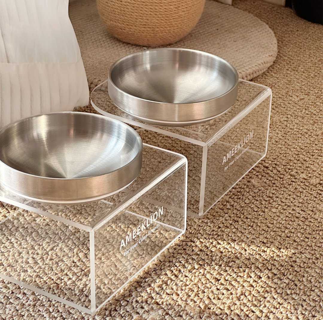 304 Stainless Steel Pet Food Bowl with Clear Acrylic Stand