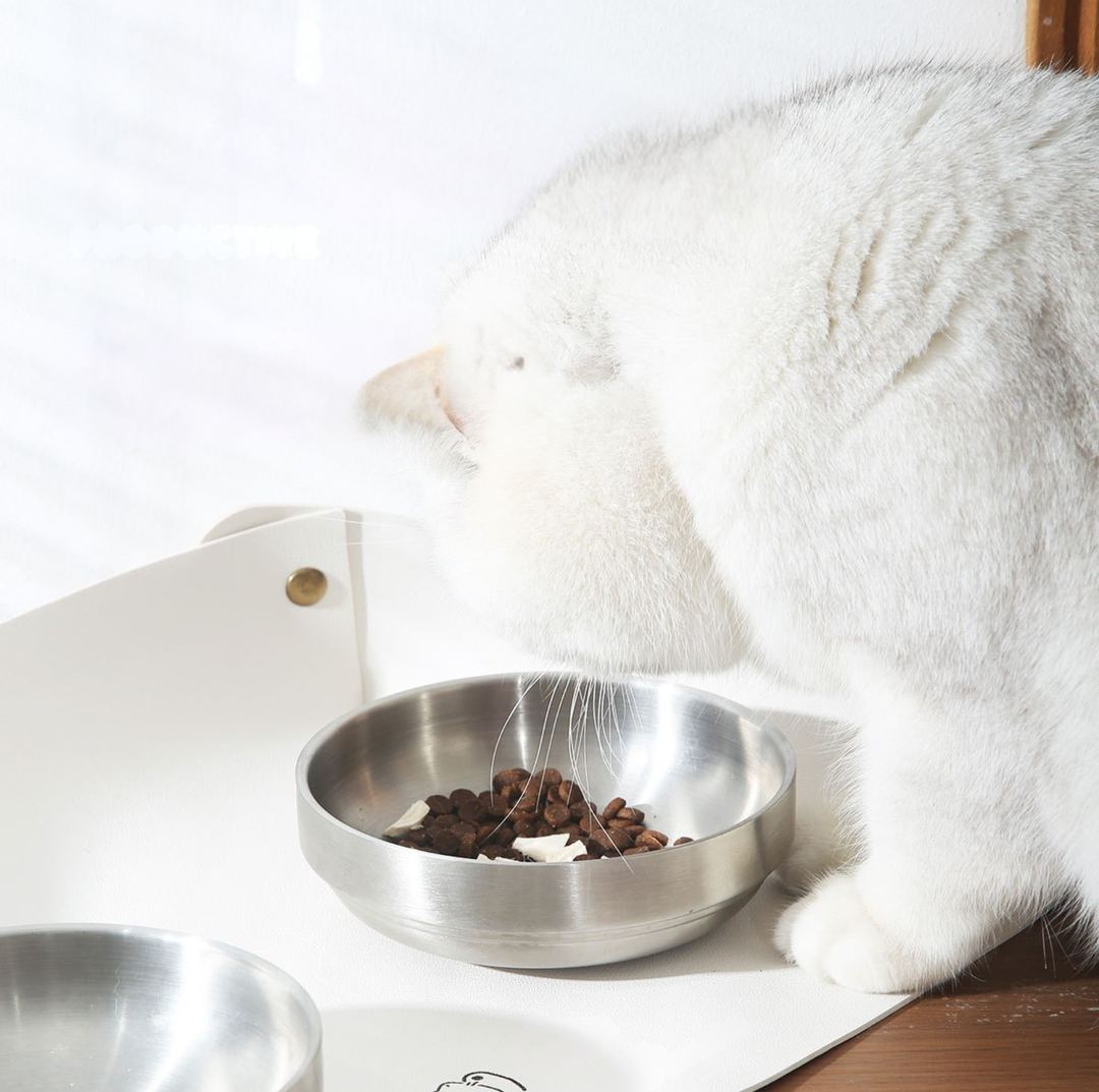304 Stainless Steel Pet Food Bowl With Acrylic &amp; Wood Stand