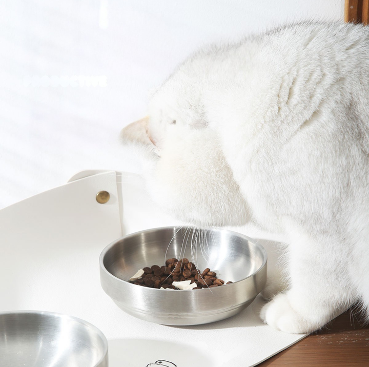 304 Stainless Steel Pet Food Bowl With Acrylic &amp; Wood Stand