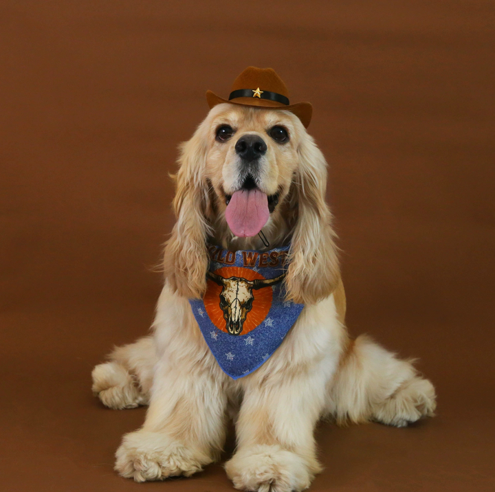 Western Cowboy Pet Hat &amp; Bandana Set