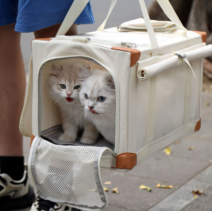Oxford Boxy Pet Travel Tote Carrier for Cats &amp; Small Dogs