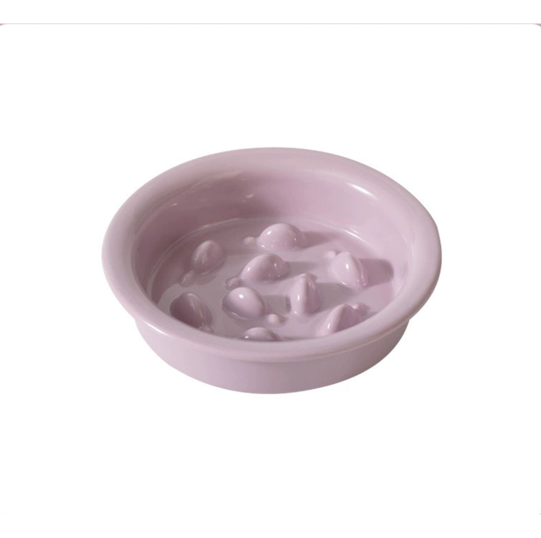 Little Fish Ceramic Slow Feeder Bowl for Cats &amp; Small Dogs