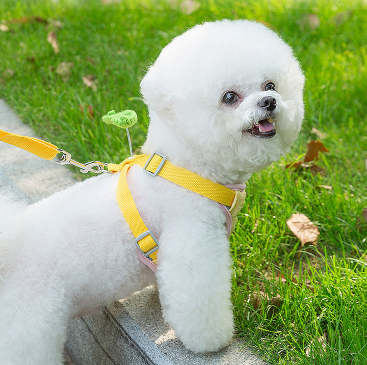 Vibrant Outdoor Pet Harness with Vest-Style Support