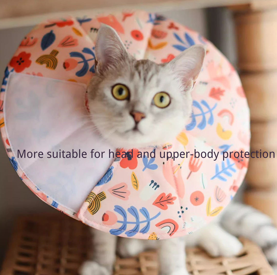 Soft Multi-Use E-Collar for Cats &amp; Small Dogs