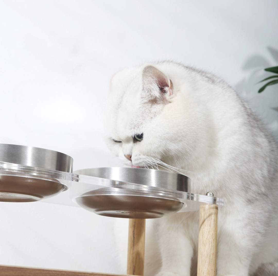304 Stainless Steel Pet Food Bowl With Acrylic &amp; Wood Stand
