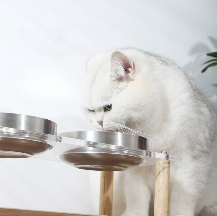 304 Stainless Steel Pet Food Bowl With Acrylic &amp; Wood Stand
