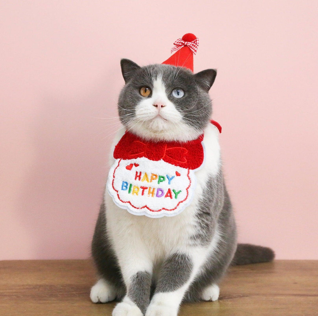 Pet Birthday Ensemble - Embroidered Hat &amp; Bib Accessory Pack