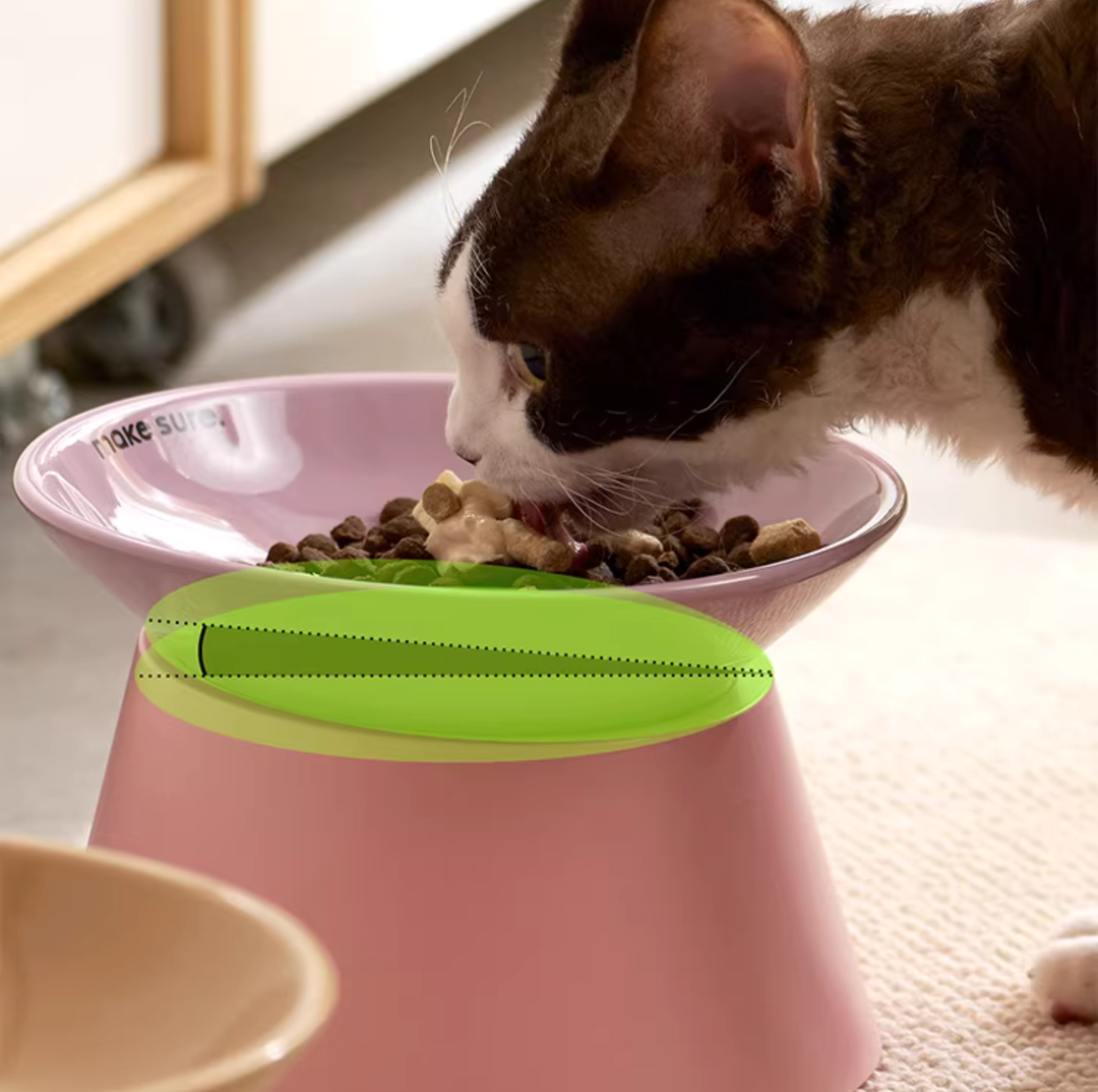 Makesure Tawa Elevated Ceramic Pet Bowl