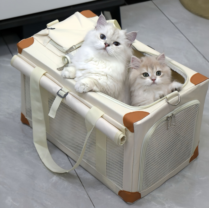 Oxford Boxy Pet Travel Tote Carrier for Cats &amp; Small Dogs