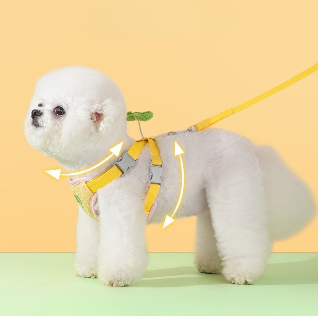 Vibrant Outdoor Pet Harness with Vest-Style Support
