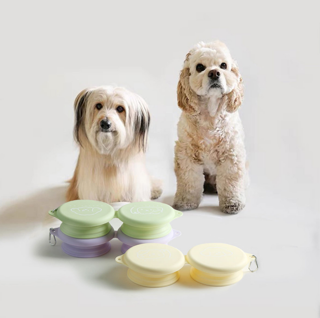 Silicone Foldable Double Pet Feeding Bowl - Portable &amp; Travel-Friendly