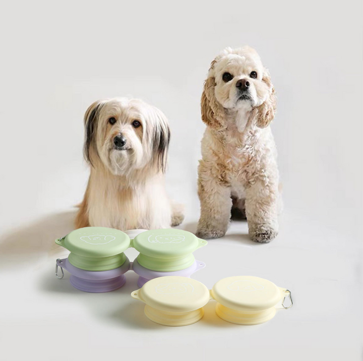 Silicone Foldable Double Pet Feeding Bowl - Portable &amp; Travel-Friendly