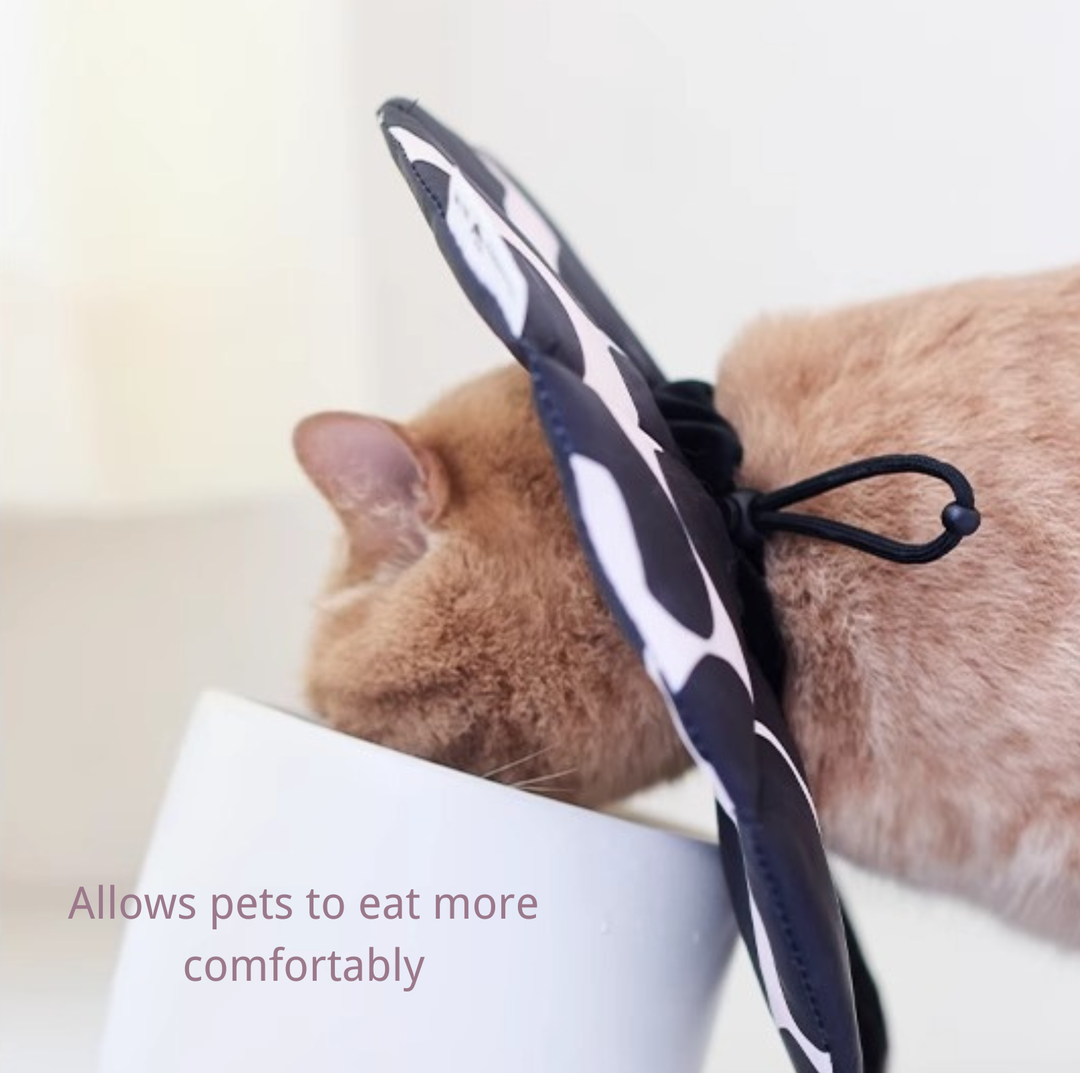 Soft Multi-Use E-Collar for Cats &amp; Small Dogs