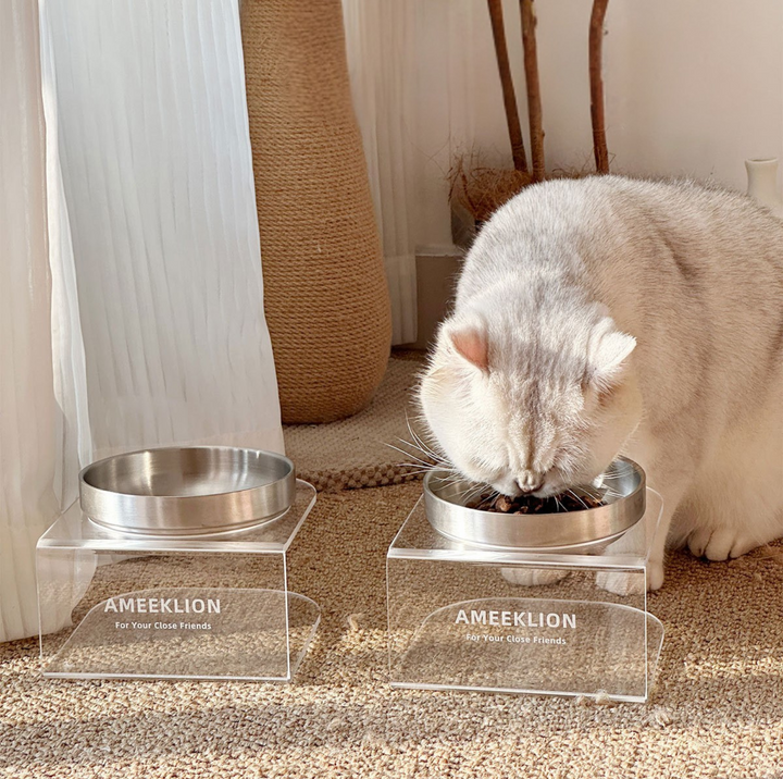 304 Stainless Steel Pet Food Bowl with Clear Acrylic Stand