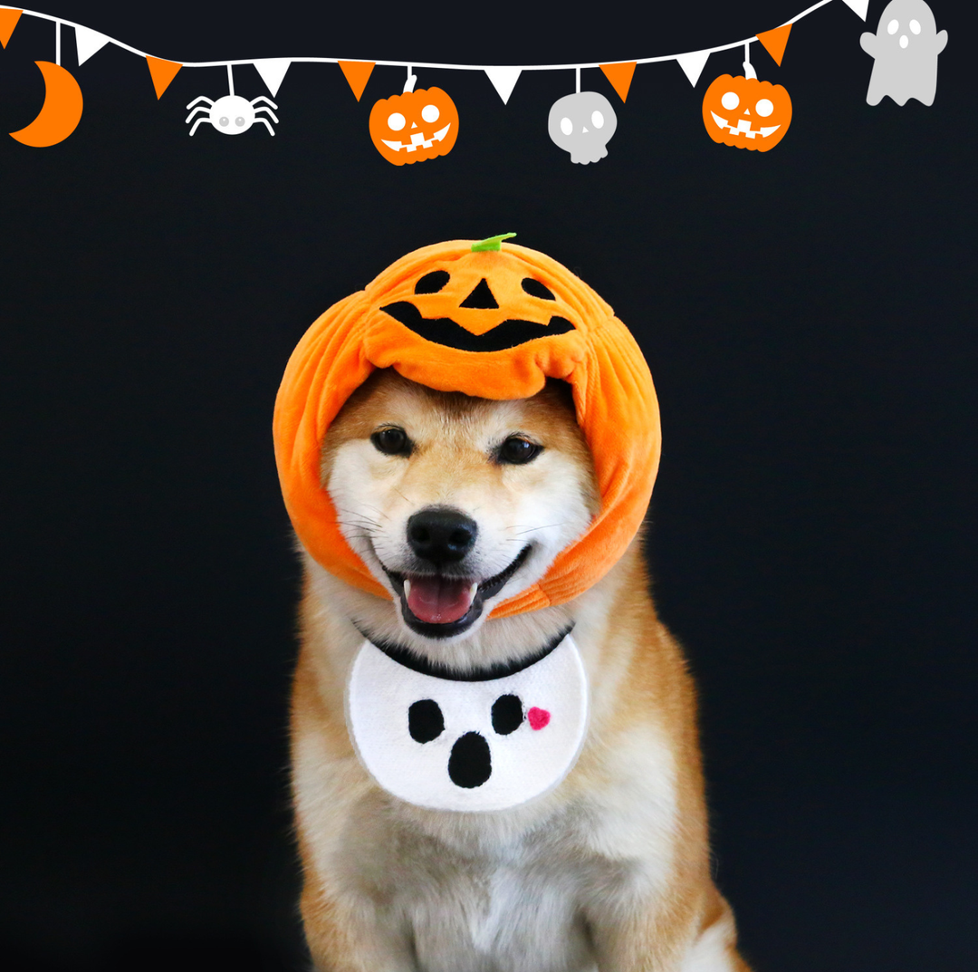 Halloween Pumpkin Hat &amp; Ghost Bib Set for Cats and Dogs