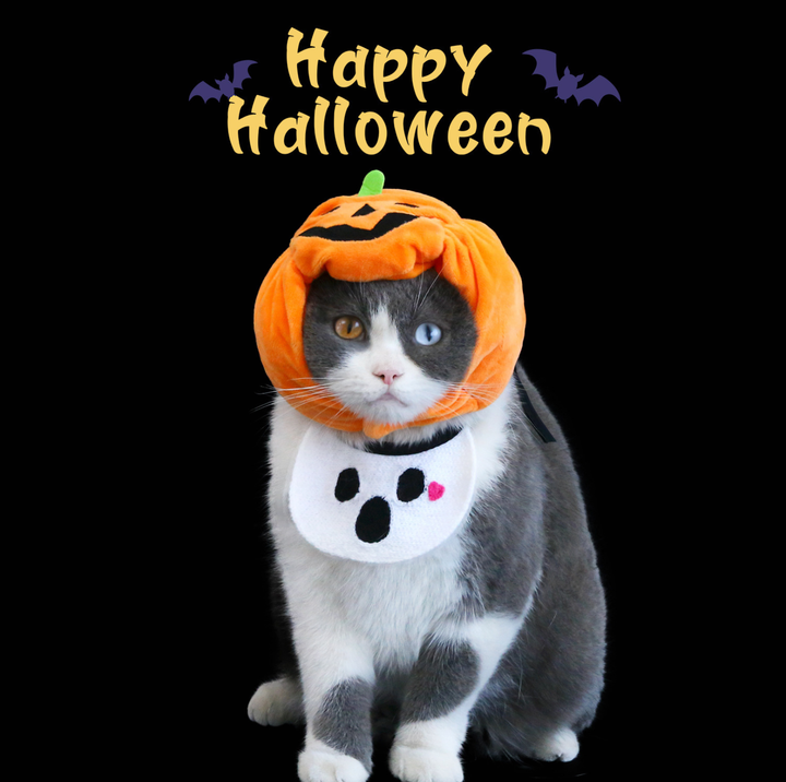 Halloween Pumpkin Hat &amp; Ghost Bib Set for Cats and Dogs
