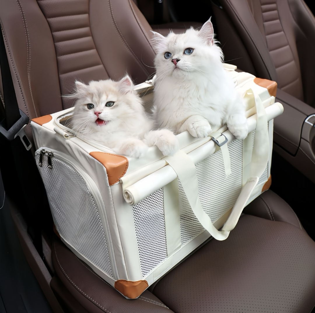 Oxford Boxy Pet Travel Tote Carrier for Cats &amp; Small Dogs