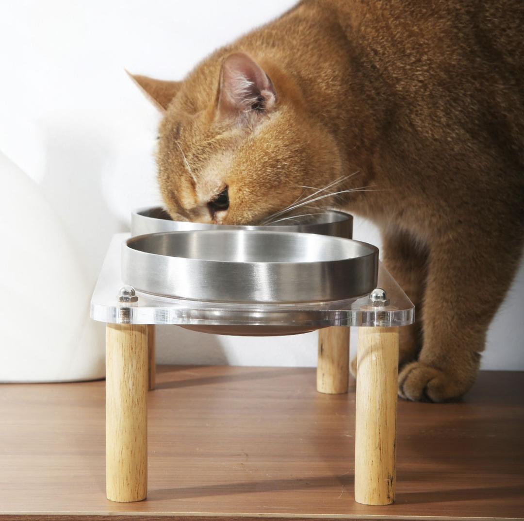 304 Stainless Steel Pet Food Bowl With Acrylic &amp; Wood Stand