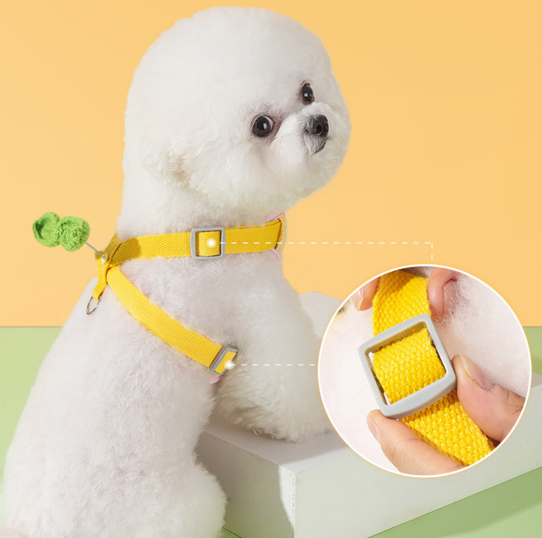 Vibrant Outdoor Pet Harness with Vest-Style Support