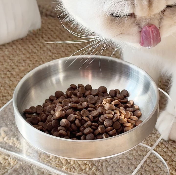 304 Stainless Steel Pet Food Bowl with Clear Acrylic Stand