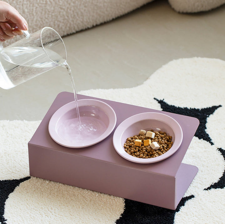 Ceramic Double Pet Bowl with Tilted Iron Stand
