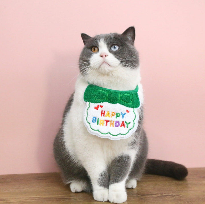Pet Birthday Ensemble - Embroidered Hat &amp; Bib Accessory Pack
