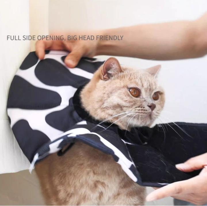 Soft Multi-Use E-Collar for Cats &amp; Small Dogs