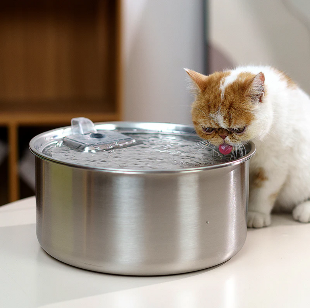 7L Stainless Steel Automatic Pet Water Fountain
