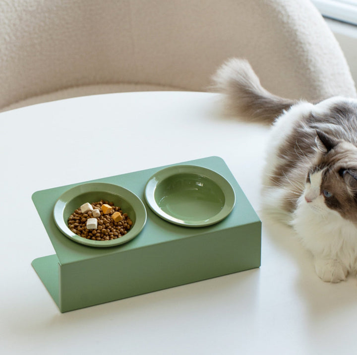 Ceramic Double Pet Bowl with Tilted Iron Stand