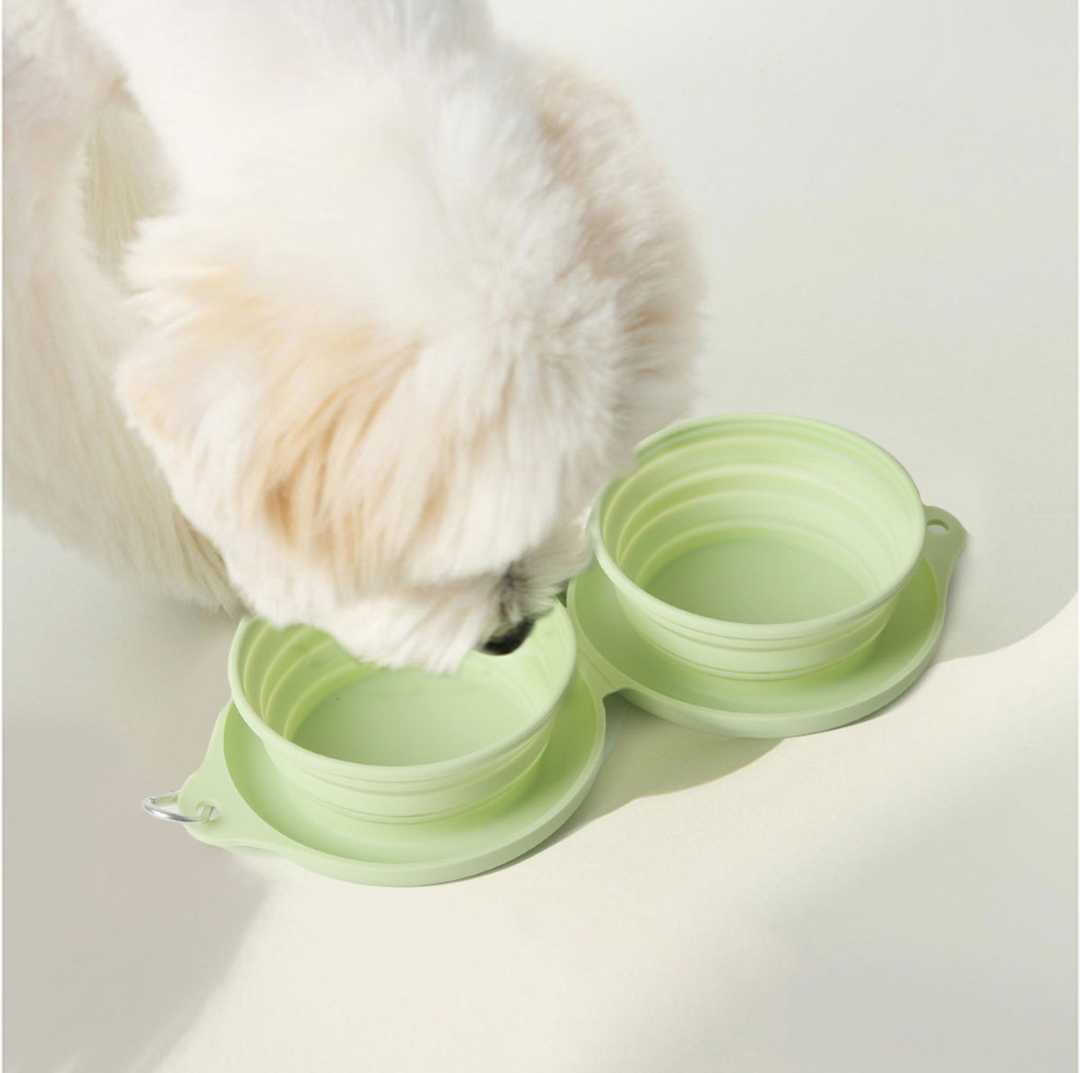 Silicone Foldable Double Pet Feeding Bowl - Portable &amp; Travel-Friendly