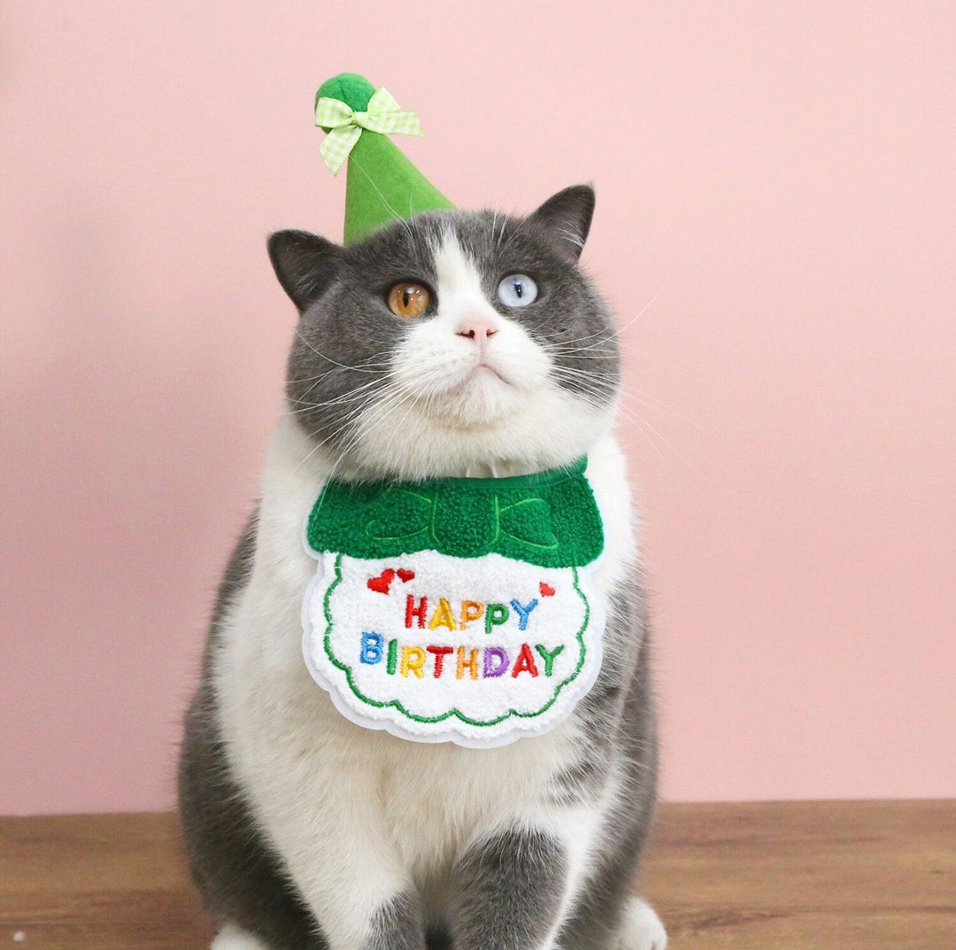 Pet Birthday Ensemble - Embroidered Hat &amp; Bib Accessory Pack