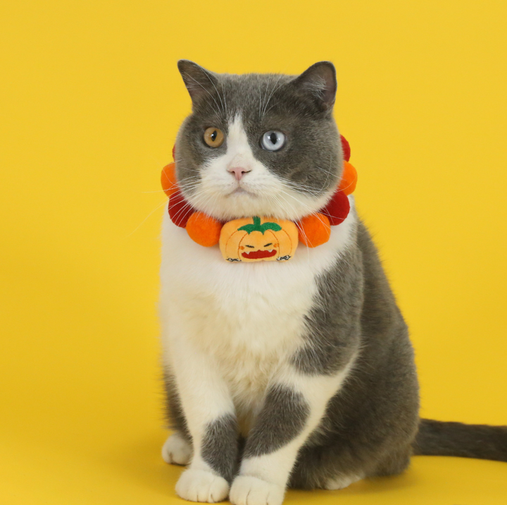 Halloween Plush Ball Collar for Cats and Small Dogs – Soft Cotton Design in Pumpkin, Ghost &amp; Black Cat Styles