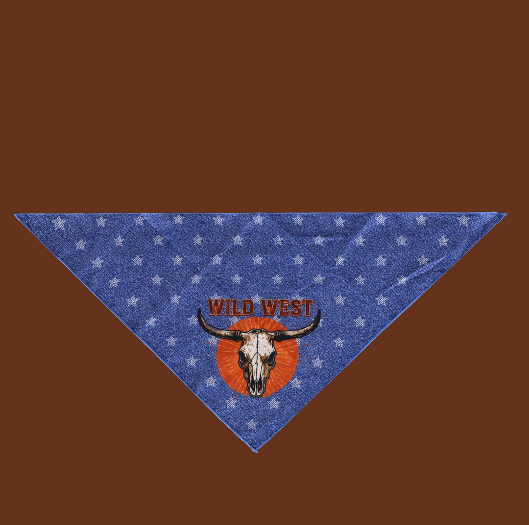 Western Cowboy Pet Hat &amp; Bandana Set
