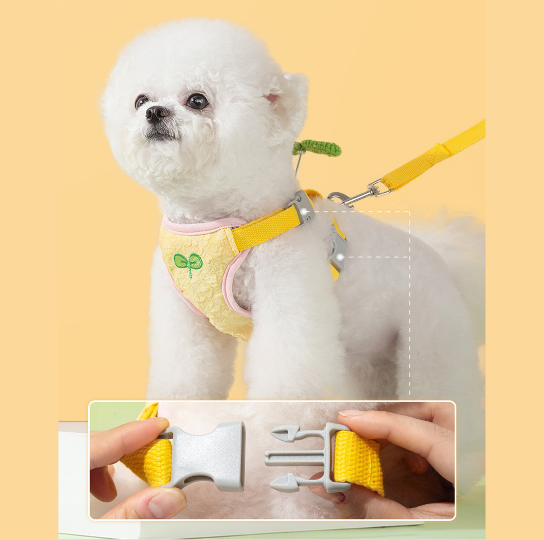 Vibrant Outdoor Pet Harness with Vest-Style Support