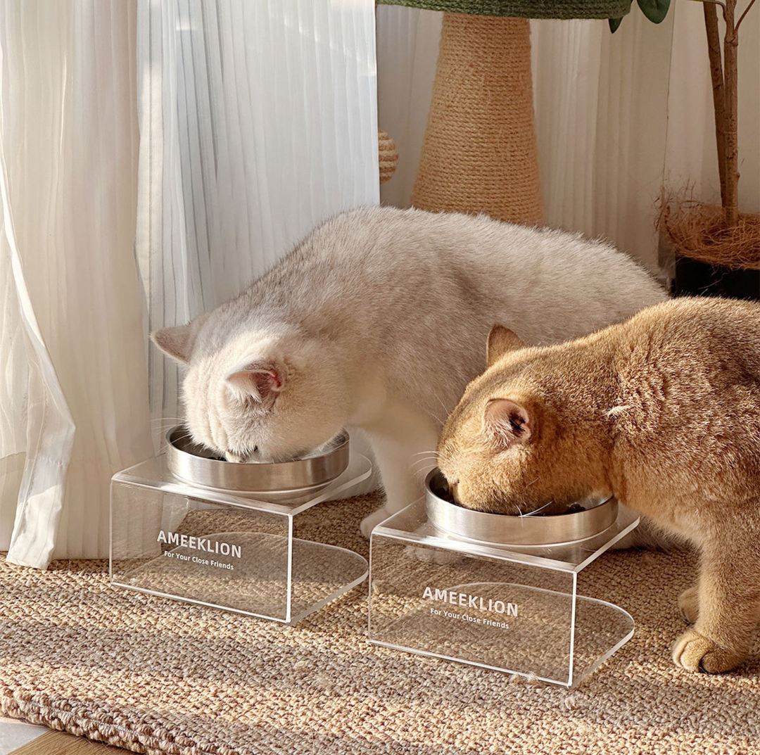 304 Stainless Steel Pet Food Bowl with Clear Acrylic Stand