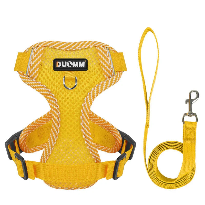 Reflective Dog Harness and Leash Set for Small Dogs – SafeStep