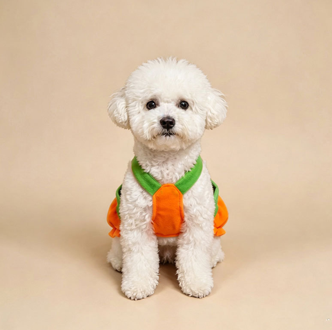 Halloween Pumpkin Pet Costume with Shoulder Straps
