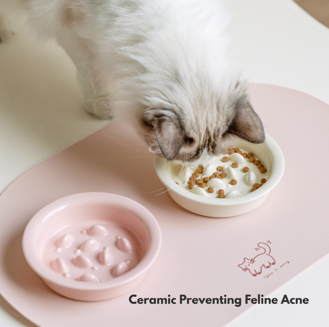 Little Fish Ceramic Slow Feeder Bowl for Cats &amp; Small Dogs