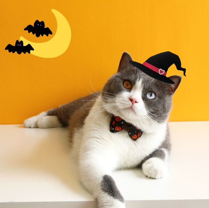 Halloween Bow Tie Cat &amp; Dog Collar – Pumpkin Print with Bell (Adjustable Breakaway Design)