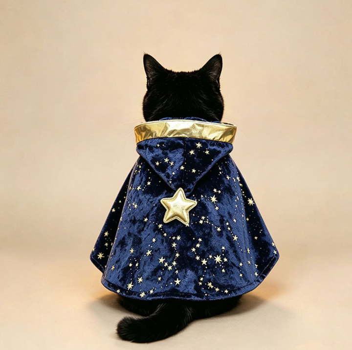 Starry Velvet Hooded Pet Cape with Gold Bow