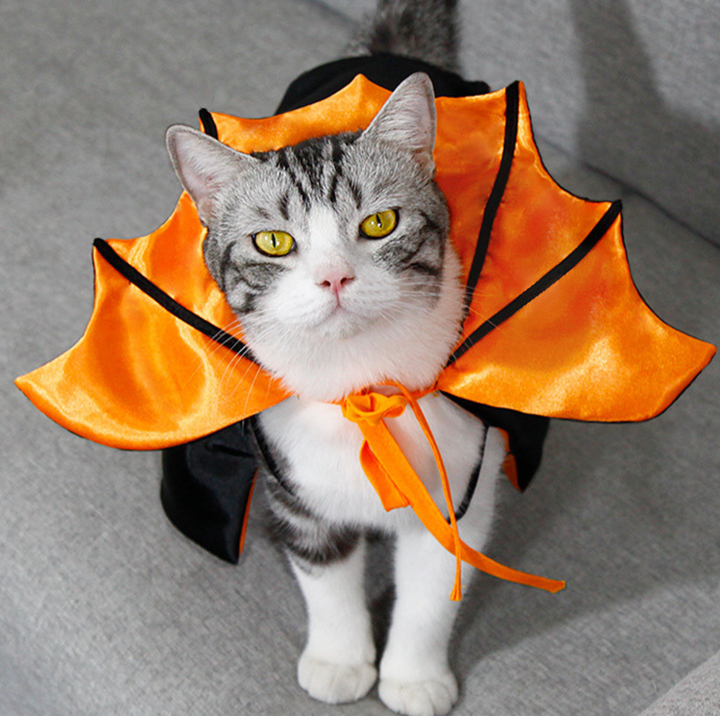 Halloween Vampire Cape for Cats and Dogs