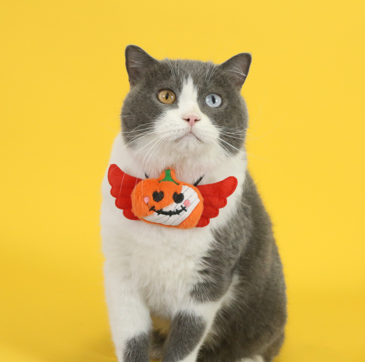 Halloween Pet Bib Collar – Pumpkin, Ghost, Spider &amp; Bat Plush Designs for Cats and Dogs