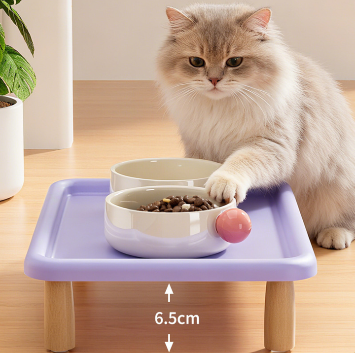 Raised Double Pet Bowl Stand (Bowls Not Included)