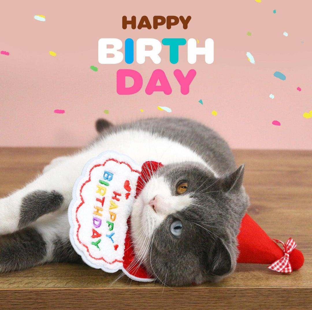 Pet Birthday Ensemble - Embroidered Hat &amp; Bib Accessory Pack